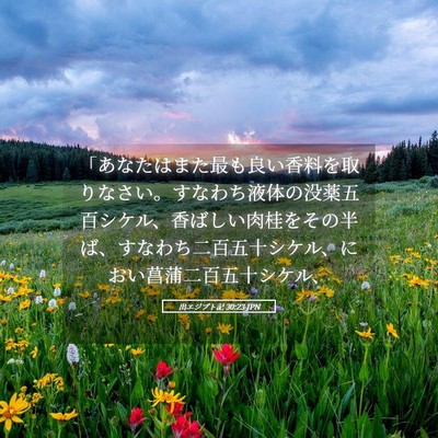 Picture 05 - 出エジプト記 30:23 JPN - 「あなたはまた最も良い香料を取り - Bible Verse Picture