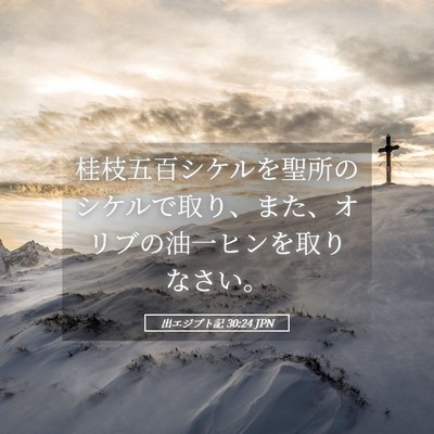Picture 05 - 出エジプト記 30:24 JPN - 桂枝五百シケルを聖所のシケルで取 - Bible Verse Picture