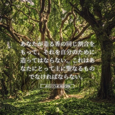 Picture 05 - 出エジプト記 30:37 JPN - あなたが造る香の同じ割合をもって - Bible Verse Picture