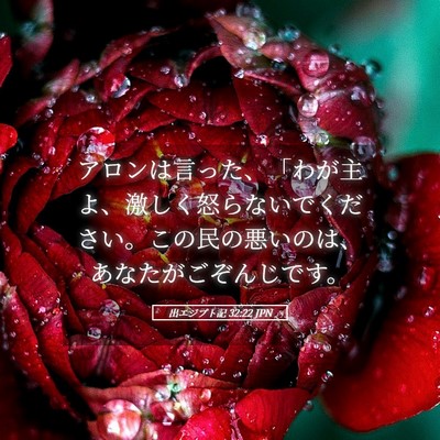 Picture 05 - 出エジプト記 32:22 JPN - アロンは言った、「わが主よ、激し - Bible Verse Picture