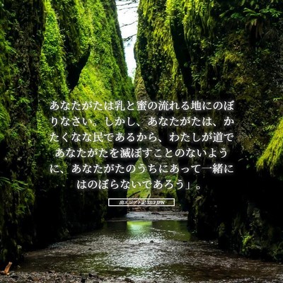 Picture 05 - 出エジプト記 33:3 JPN - あなたがたは乳と蜜の流れる地にの - Bible Verse Picture