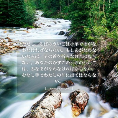 Picture 05 - 出エジプト記 34:20 JPN - ただし、ろばのういごは小羊であが - Bible Verse Picture