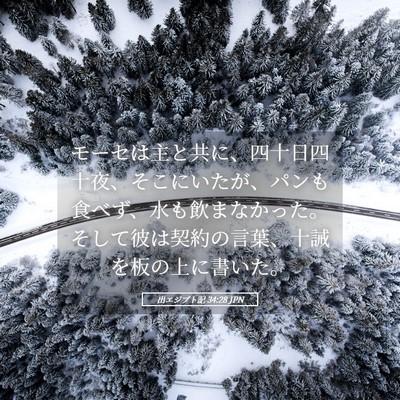 Picture 05 - 出エジプト記 34:28 JPN - モーセは主と共に、四十日四十夜、 - Bible Verse Picture