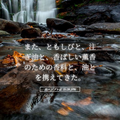Picture 05 - 出エジプト記 35:28 JPN - また、ともしびと、注ぎ油と、香ば - Bible Verse Picture
