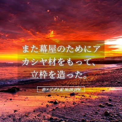 Picture 05 - 出エジプト記 36:20 JPN - また幕屋のためにアカシヤ材をもっ - Bible Verse Picture
