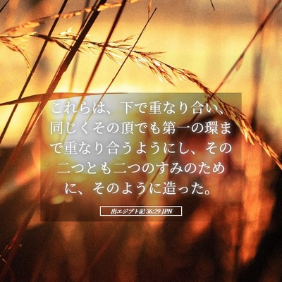 Picture 05 - 出エジプト記 36:29 JPN - これらは、下で重なり合い、同じく - Bible Verse Picture