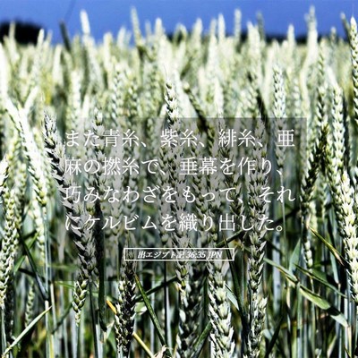 Picture 05 - 出エジプト記 36:35 JPN - また青糸、紫糸、緋糸、亜麻の撚糸 - Bible Verse Picture