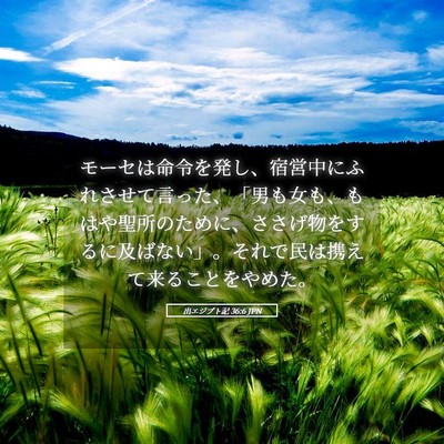 Picture 05 - 出エジプト記 36:6 JPN - モーセは命令を発し、宿営中にふれ - Bible Verse Picture