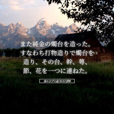 Picture 05 - 出エジプト記 37:17 JPN - また純金の燭台を造った。すなわち - Bible Verse Picture