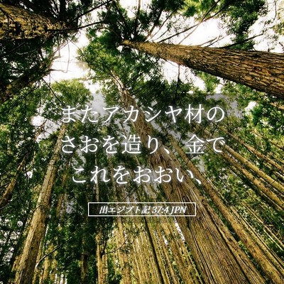 Picture 05 - 出エジプト記 37:4 JPN - またアカシヤ材のさおを造り、金で - Bible Verse Picture