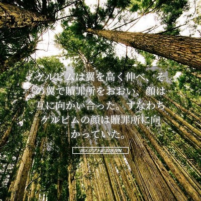 Picture 05 - 出エジプト記 37:9 JPN - ケルビムは翼を高く伸べ、その翼で - Bible Verse Picture