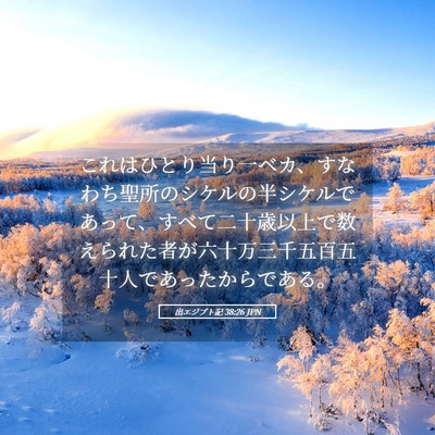 Picture 05 - 出エジプト記 38:26 JPN - これはひとり当り一ベカ、すなわち - Bible Verse Picture