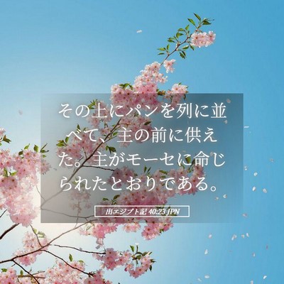Picture 05 - 出エジプト記 40:23 JPN - その上にパンを列に並べて、主の前 - Bible Verse Picture