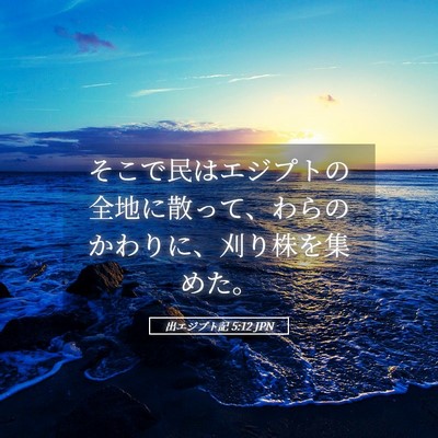 Picture 05 - 出エジプト記 5:12 JPN - そこで民はエジプトの全地に散って - Bible Verse Picture