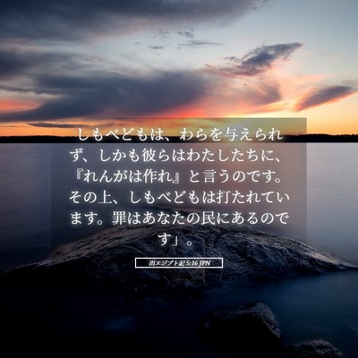 Picture 05 - 出エジプト記 5:16 JPN - しもべどもは、わらを与えられず、 - Bible Verse Picture