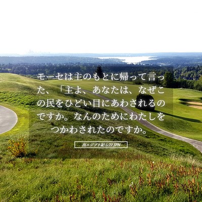 Picture 05 - 出エジプト記 5:22 JPN - モーセは主のもとに帰って言った、 - Bible Verse Picture