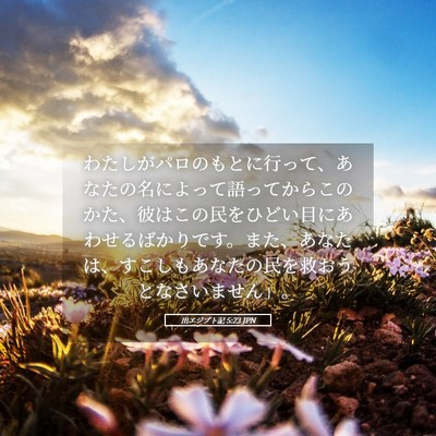 Picture 05 - 出エジプト記 5:23 JPN - わたしがパロのもとに行って、あな - Bible Verse Picture