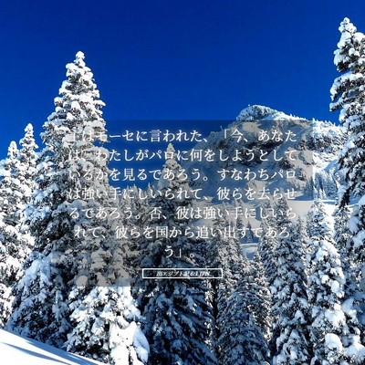 Picture 05 - 出エジプト記 6:1 JPN - 主はモーセに言われた、「今、あな - Bible Verse Picture