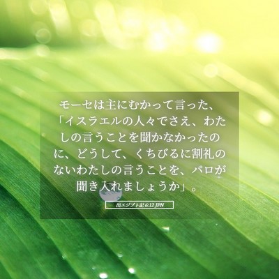 Picture 05 - 出エジプト記 6:12 JPN - モーセは主にむかって言った、「イ - Bible Verse Picture