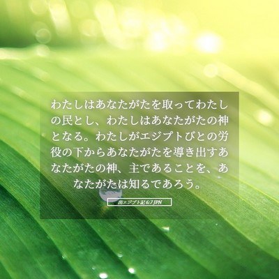 Picture 05 - 出エジプト記 6:7 JPN - わたしはあなたがたを取ってわたし - Bible Verse Picture