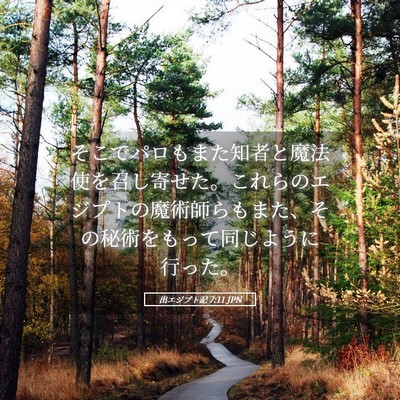 Picture 05 - 出エジプト記 7:11 JPN - そこでパロもまた知者と魔法使を召 - Bible Verse Picture