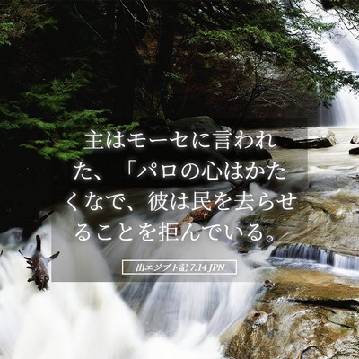 Picture 05 - 出エジプト記 7:14 JPN - 主はモーセに言われた、「パロの心 - Bible Verse Picture