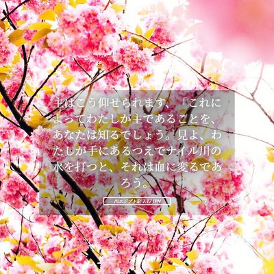 Picture 05 - 出エジプト記 7:17 JPN - 主はこう仰せられます、「これによ - Bible Verse Picture