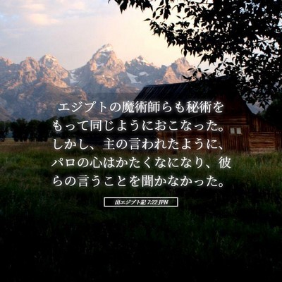 Picture 05 - 出エジプト記 7:22 JPN - エジプトの魔術師らも秘術をもって - Bible Verse Picture