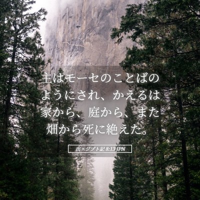 Picture 05 - 出エジプト記 8:13 JPN - 主はモーセのことばのようにされ、 - Bible Verse Picture