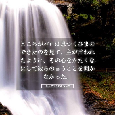 Picture 05 - 出エジプト記 8:15 JPN - ところがパロは息つくひまのできた - Bible Verse Picture