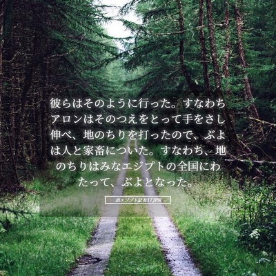 Picture 05 - 出エジプト記 8:17 JPN - 彼らはそのように行った。すなわち - Bible Verse Picture