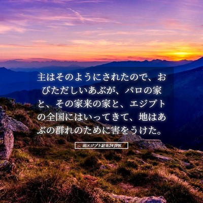 Picture 05 - 出エジプト記 8:24 JPN - 主はそのようにされたので、おびた - Bible Verse Picture
