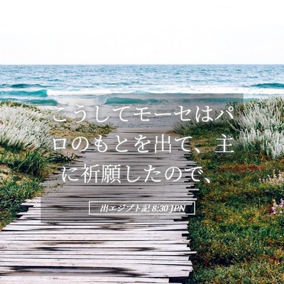 Picture 05 - 出エジプト記 8:30 JPN - こうしてモーセはパロのもとを出て - Bible Verse Picture