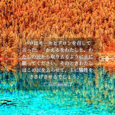 Picture 05 - 出エジプト記 8:8 JPN - パロはモーセとアロンを召して言っ - Bible Verse Picture