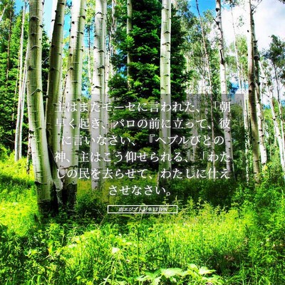 Picture 05 - 出エジプト記 9:13 JPN - 主はまたモーセに言われた、「朝早 - Bible Verse Picture