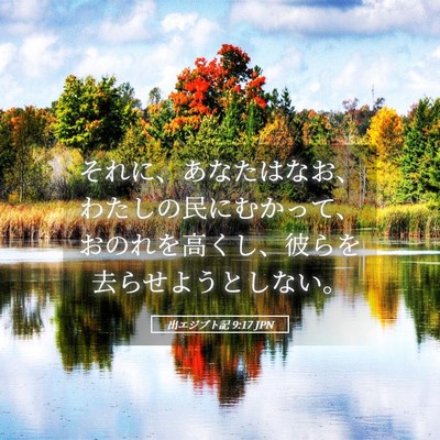 Picture 05 - 出エジプト記 9:17 JPN - それに、あなたはなお、わたしの民 - Bible Verse Picture