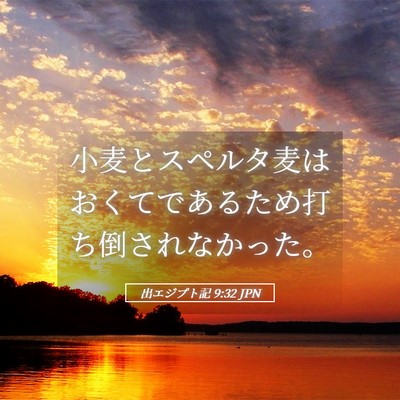 Picture 05 - 出エジプト記 9:32 JPN - 小麦とスペルタ麦はおくてであるた - Bible Verse Picture
