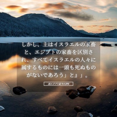 Picture 05 - 出エジプト記 9:4 JPN - しかし、主はイスラエルの家畜と、 - Bible Verse Picture