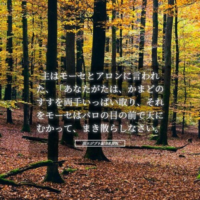 Picture 05 - 出エジプト記 9:8 JPN - 主はモーセとアロンに言われた、「 - Bible Verse Picture
