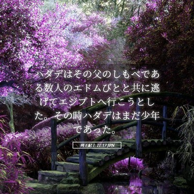 Picture 05 - 列王紀上 11:17 JPN - ハダデはその父のしもべである数人 - Bible Verse Picture