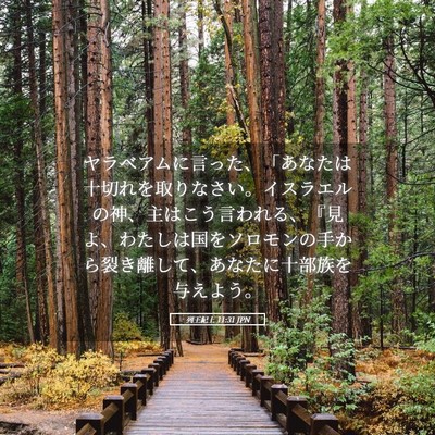 Picture 05 - 列王紀上 11:31 JPN - ヤラベアムに言った、「あなたは十 - Bible Verse Picture