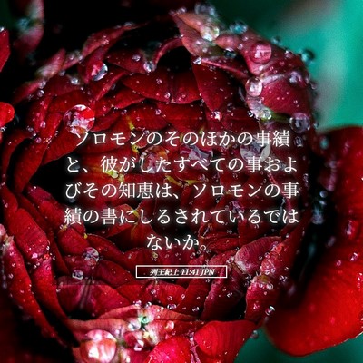 Picture 05 - 列王紀上 11:41 JPN - ソロモンのそのほかの事績と、彼が - Bible Verse Picture