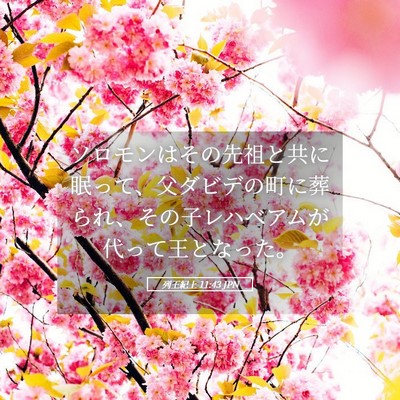 Picture 05 - 列王紀上 11:43 JPN - ソロモンはその先祖と共に眠って、 - Bible Verse Picture
