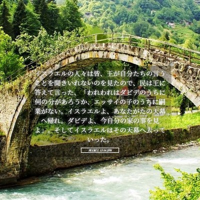 Picture 05 - 列王紀上 12:16 JPN - イスラエルの人々は皆、王が自分た - Bible Verse Picture