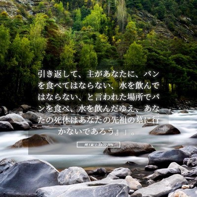 Picture 05 - 列王紀上 13:22 JPN - 引き返して、主があなたに、パンを - Bible Verse Picture