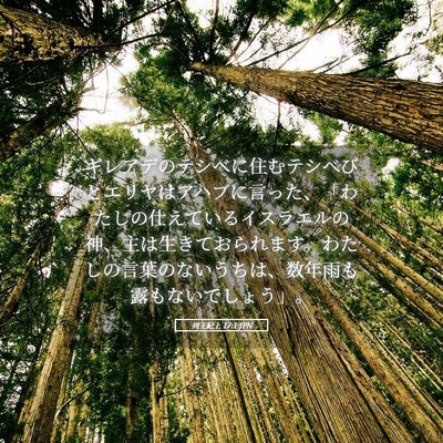 Picture 05 - 列王紀上 17:1 JPN - ギレアデのテシベに住むテシベびと - Bible Verse Picture