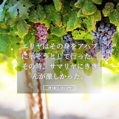 Picture 05 - 列王紀上 18:2 JPN - エリヤはその身をアハブに示そうと - Bible Verse Picture