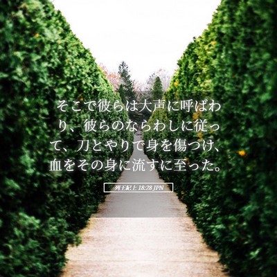 Picture 05 - 列王紀上 18:28 JPN - そこで彼らは大声に呼ばわり、彼ら - Bible Verse Picture