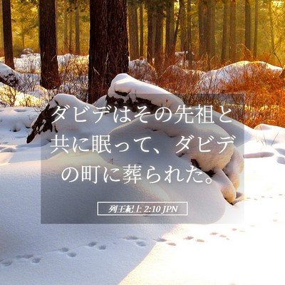 Picture 05 - 列王紀上 2:10 JPN - ダビデはその先祖と共に眠って、ダ - Bible Verse Picture