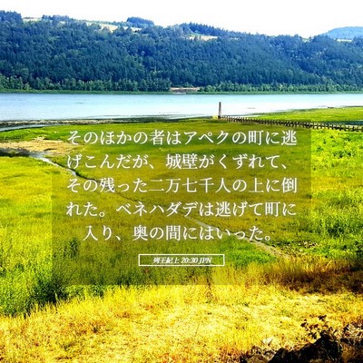 Picture 05 - 列王紀上 20:30 JPN - そのほかの者はアペクの町に逃げこ - Bible Verse Picture
